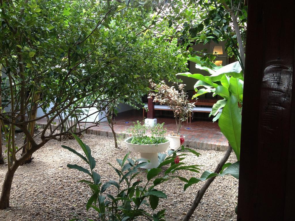 Hotel Portal De La Marquesa Mompos Exterior foto The garden of the house
